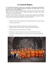 Le Tunnel du Niagara - AEFE Proche