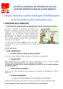 LE PETIT JOURNAL DU SYNDICAT CGT DU 26 novembre 2013-1