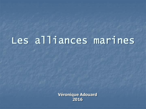 Les alliances marines