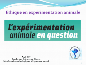 Comité d`éthique en expérimentation animale de