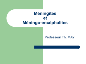 Méningites - Antibiolor
