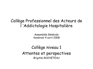 AG COPAAH collège niv1 4avril08 Rocheteau - E