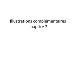 1s_th1b_ch2_illustrations_comp