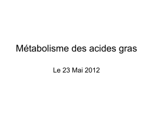 Métabolisme des acides gras23Mai2012