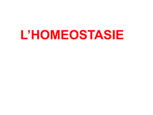 Homéostasie
