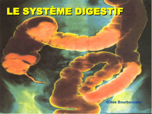 Cours n°7: digestion