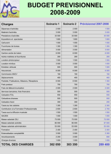 budget previsionnel 2008-2009