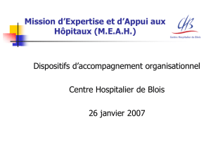 Mission d`Expertise et d`Appui aux Hôpitaux (M.E.A.H.)