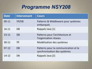 Programme NSY208
