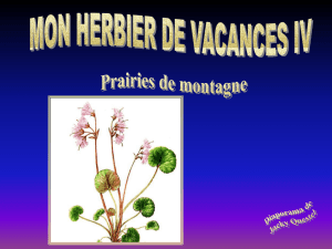 Il ne faut pas confon-dre les plantes culti