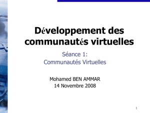 Développement des communautés virtuelles - E