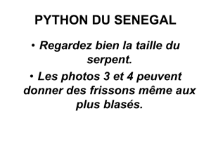 06-Le-python-du-Senegal