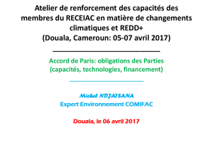 J2-MN 4 Capacités Technologie et finance climat RECEAIC