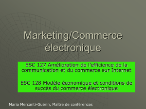 Marketing/Commerce électronique - E