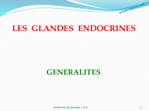 les glandes endocrines l`hypophyse