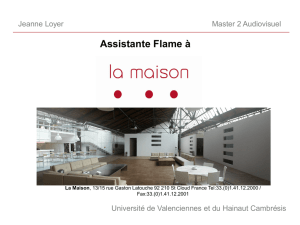 Travail de l`assistant Flame