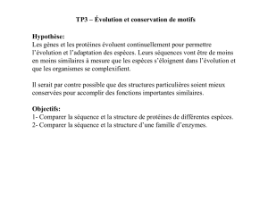 TP3 – Évolution et conservation de motifs Hypothèse