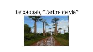 baobab presentation