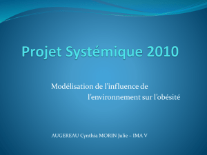 Projet Systémique 2010
