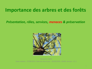 Importance des arbres et des forêts