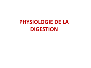 www-espace-etudiant-net-physiologie-de-la-digestion