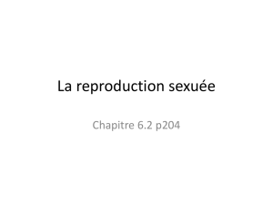 La reproduction sexuée