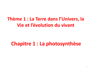 Thème 1 - Chap 01 - La photosynthèse.ppt[...]
