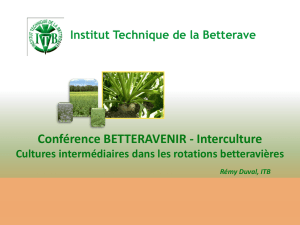 Diapositive 1 - Institut technique de la betterave