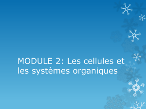 MODULE 2 Les cellules et les systèmes organiques sci 8