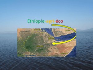 Projet babille ethiopie 4