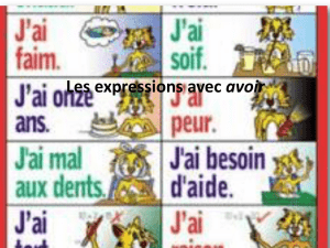 Les expressions avec avoir