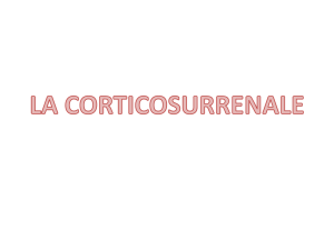 cortisol - OneDrive