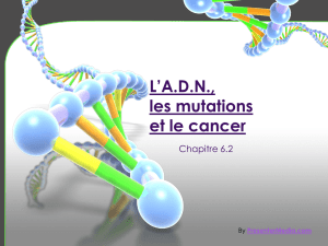 L*ADN, les mutations et le cancer