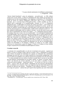 Wittgenstein et la grammaire du cerveau " Ce que je cherche