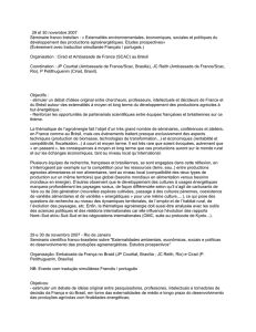 29 et 30 novembre 2007 Séminaire franco brésilien : « Externalités