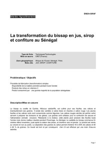 La transformation du bissap en jus, sirop et confiture au Sénégal