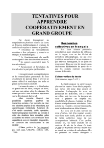 Tentative pour apprendre coopérativement en grand groupe