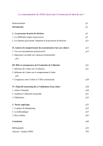 Le mémoire - Le site des mémoires de l`IUP Marketing Vente