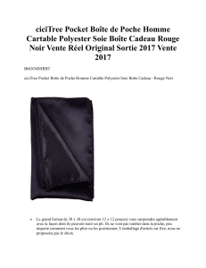 ciciTree Pocket Boîte de Poche Homme Cartable Polyester Soie