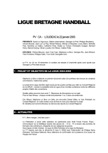 Rapport professionnel - Ligue de Bretagne de Handball