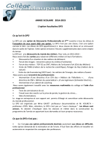 DP3 2014 - Collège Guy de Maupassant
