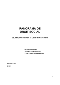PANORAMA DE DROIT SOCIAL La jurisprudence de la Cour de