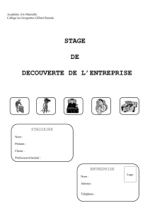 Trame rapport de stage 3e ( DOC - 409.5 ko)