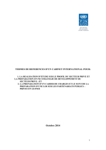 Terme de reférences - UNDP | Procurement Notices