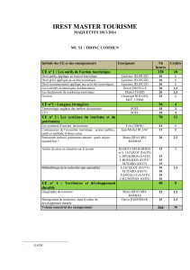 IREST MASTER TOURISME MAQUETTES 2013