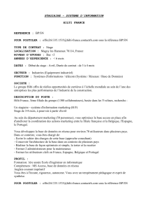 stagiaire - systeme d`information