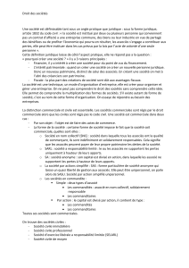 Droit des sociétés Une société est définissable tant sous un angle