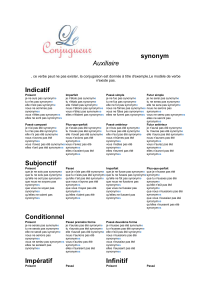 synonym Auxiliaire