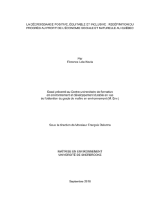 la décroissance positive, équitable et inclusive : redéfinition du