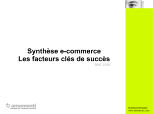 Synthèse du e-commerce